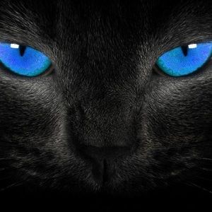 Meet your Posher, Robyn